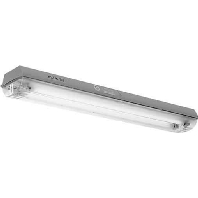 Ceag Sicherheitst. eLLK 92036/36 1/6-1  - Leuchte 2x36W EVG eins.DV eLLK 92036/36 1/6-1