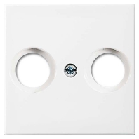 Image of 2531-914 - Central cover plate 2531-914