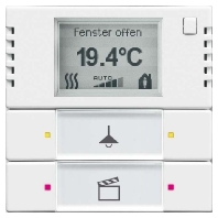 Busch-Jaeger 6128/01-84  - Tastsensor 2/4fach m.Raumtemp.regler 6128/01-84