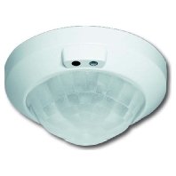 Busch-Jaeger 6131/10-24  - W&auml;chter-Sensor aws 6131/10-24