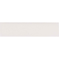 Elcom AV2-Schildeinl.  - Namenschildeinlage f&uuml;r AV2 Taster AV2-Schildeinl.