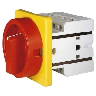 Elektra Tailfingen S1 011/HS-F3-D-RG  - Haupt/Not-Aus-Schalter 25A,Unterspg.-Ausl&ouml;. S1 011/HS-F3-D-RG