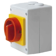 Elektra Tailfingen S1 011/HS-T8/2-D-MRG  - HAUPT-NOTAUSSCHALTER ISOGE KAPSELT 00134389 S1 011/HS-T8/2-D-MRG