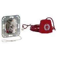 Novar Ackermann clino 70045A3  - Zugtaster 70045A3