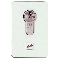 Assa Abloy effeff 49510-3-9291-00  - Rosette f.Codeschloss 495 silbermetallic 49510-3-9291-00