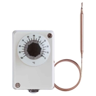 Jumo 603021/01-2-025  - Thermostat ATHf-1 0-100 Grad C 603021/01-2-025