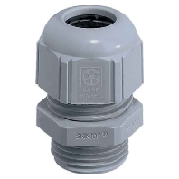 Lapp Zubeh&ouml;r ST-M12x1,5 R7001 SGY  - Kabelverschraubung SKINTOP ST-M12x1,5 R7001 SGY