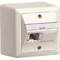 Reichle&De-Massari R310786  - AP-Global-Dose 80x80, 2x1 Port R310786
