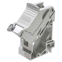 Reichle&De-Massari R314000  - DRM45 Hutschienenadapter R314000