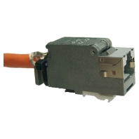 Setec TN-XKJ-k-Modul  - XKJ-Modul Cat.6 Kurzversion TN-XKJ-k-Modul