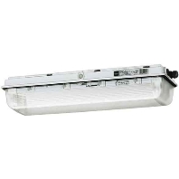 Stahl 6000/562-9011  - Ex-Leuchte 2x58W EVG 6000/562-9011
