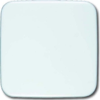 Image of 1576 C-214 - Cover plate for Blind white 1576 C-214
