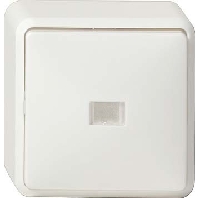 Image of 011613 - Two-way switch surface mounted white 011613