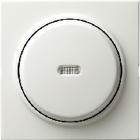 Image of 013640 - Two-way switch flush mounted white 013640