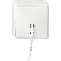 Image of 014613 - Two-way switch surface mounted white 014613