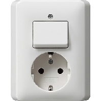 Image of 017603 - Combination switch/wall socket outlet 017603
