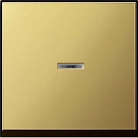 Image of 0290604 - Cover plate for switch/push button brass 0290604