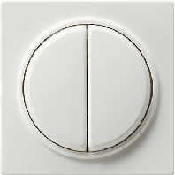 Image of 029540 - Cover plate for switch/push button white 029540