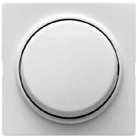 Image of 029640 - Cover plate for switch/push button white 029640
