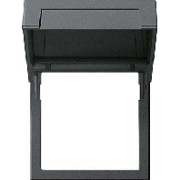 Image of 265828 - Central cover plate 265828