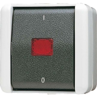 Image of 802 KOW - 2-pole switch surface mounted grey 802 KOW