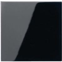 Image of A 590 SW - Cover plate for switch/push button black A 590 SW