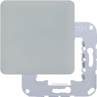 Image of CD 594-0 GR - Cover plate for Blind grey CD 594-0 GR