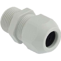 Image of 1555.20.1.08 - Cable screw gland M20 1555.20.1.08