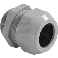 Image of 1556.25.17 - Cable screw gland M25 1556.25.17