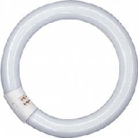 Image of L 22W/840 C - Fluorescent lamp ring shape 22W 29mm L 22W/840 C