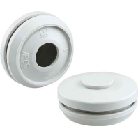 Image of DMS M20 - Knock-out plug 20mm DMS M20