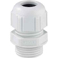 Image of KVR Pg 13,5-PS/IP65 - Cable screw gland KVR Pg 13,5-PS/IP65