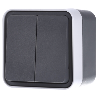 Image of 30753505 - Series switch surface mounted grey 30753505