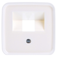 Image of 1803-214 - Central cover plate UAE/IAE (ISDN) 1803-214