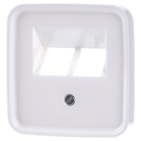 Image of 1803-02-214 - Central cover plate UAE/IAE (ISDN) 1803-02-214