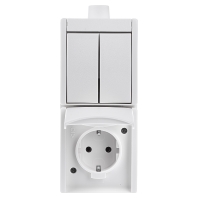 Image of 2601/5/20EW-54-503 - Combination switch/wall socket outlet 2601/5/20EW-54-503