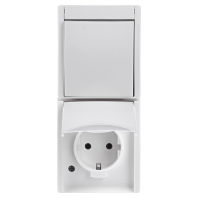 Image of 2601/6/20 EW-54 - Combination switch/wall socket outlet 2601/6/20 EW-54