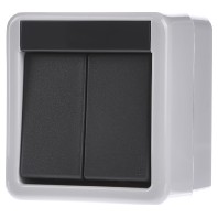 Image of 010530 - Series switch surface mounted grey 010530