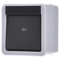 Image of 010730 - Intermediate switch surface mounted grey 010730