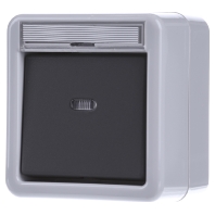 Image of 011630 - Two-way switch surface mounted grey 011630