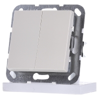 Image of 012501 - Series switch flush mounted cream white 012501