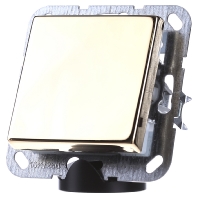 Image of 0126604 - Two-way switch flush mounted brass 0126604