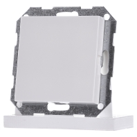 Image of 026803 - Control element blind cover 026803