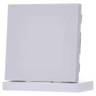 Image of 0268112 - Control element blind cover 0268112