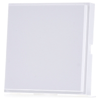 Image of 026866 - Control element blind cover 026866