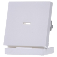 Image of 029027 - Cover plate for switch/push button white 029027