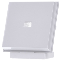 Image of 029066 - Cover plate for switch/push button white 029066
