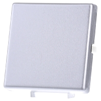 Image of 0296203 - Cover plate for switch/push button 0296203