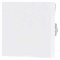 Image of 029627 - Cover plate for switch/push button white 029627