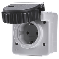 Image of 044031 - Socket outlet protective contact grey 044031